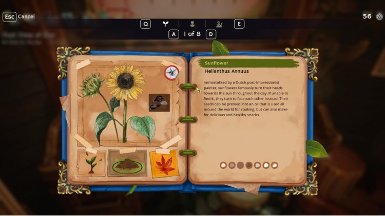 Garden Life: A Cozy Simulator - Eco-friendly Decoration Set