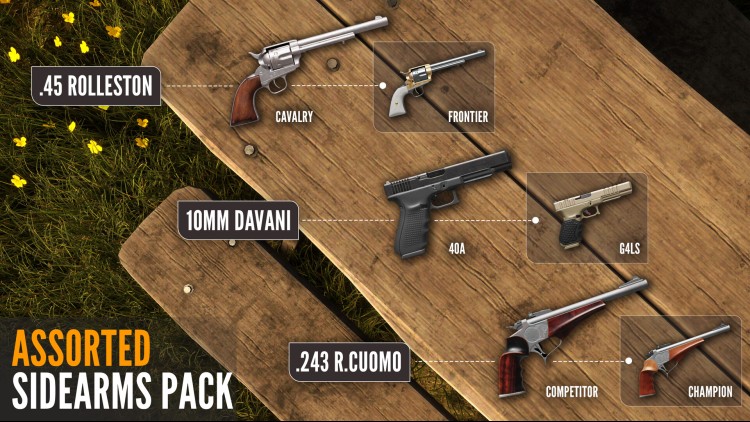 theHunter: Call of the Wild™ - Assorted Sidearms Pack